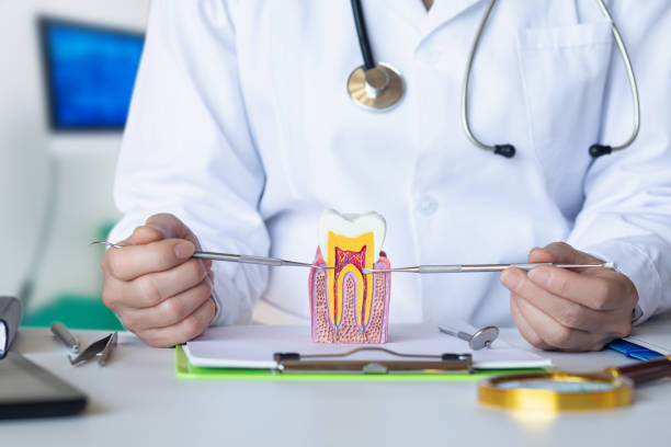 Best Emergency Treatment for Dental Infections or Abscesses in Hitchcock, TX